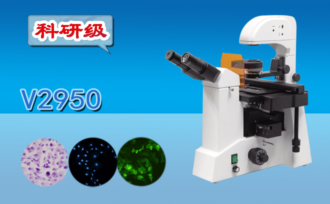 熒光顯微鏡.png 熒光顯微鏡.png